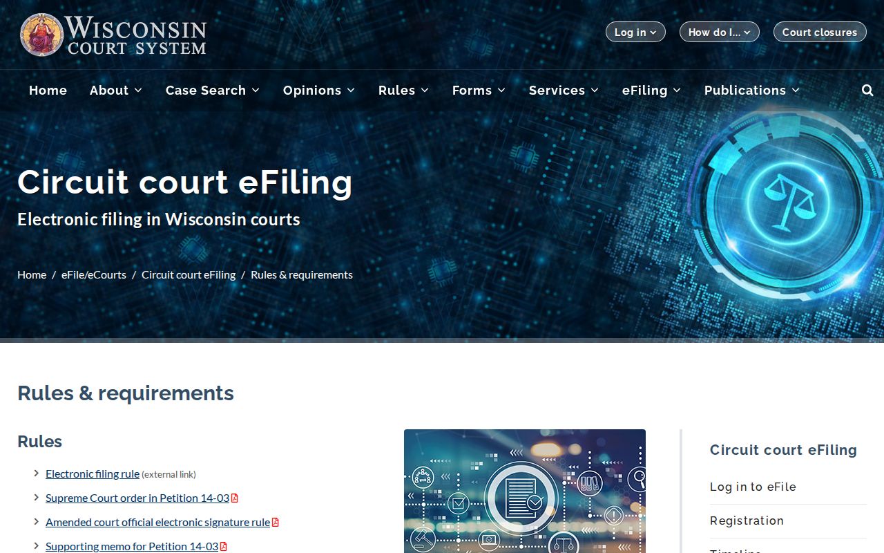 Wisconsin official eFiling requirements for Buffalo County court documents